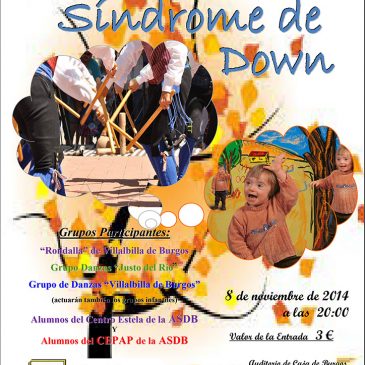Festival benéfico Sindrome de Down (8 de noviembre de 2014)
